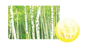 すがすがしい高原の森の香りのイメージ画像。湯の色ウッディイエロー（色つき透明）を表すイメージ画像