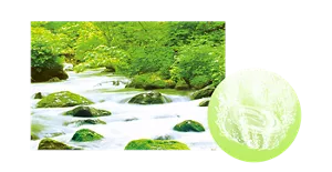  みずみずしい清流の森の香りのイメージ画像。湯の色アクアグリーン（色つき透明）を表すイメージ画像