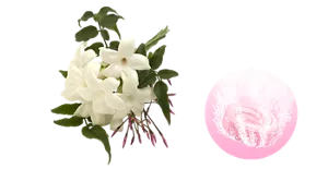 ロマンティックジャスミンの香りのイメージ画像。湯の色ファインピンク（色つき透明）を表すイメージ画像