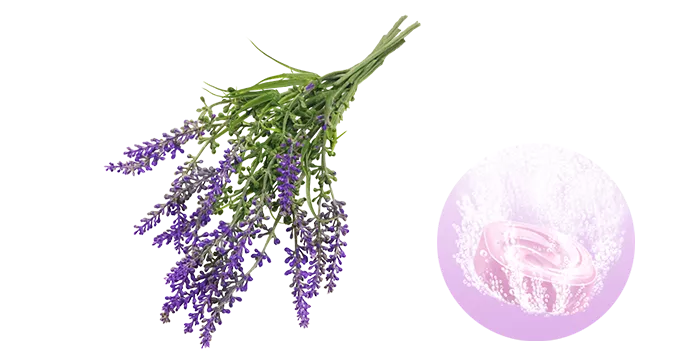 パフ、アロマ風 見本｜アロマ | キャラクター | Go！プリンセス