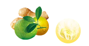 ベルガモットジンジャーの香りのイメージ画像。湯の色クリアイエロー（色つき透明）を表すイメージ画像