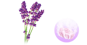  ナチュラルラベンダーの香りのイメージ画像。湯の色ファインパープル（色つき透明）を表すイメージ画像