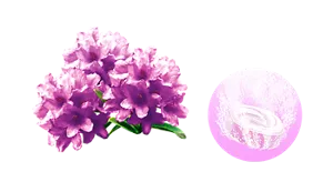 アザレアハーモニーの香りのイメージ画像。湯の色フレッシュピンク（色つき透明）を表すイメージ画像