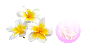 フランジパニの香りのイメージ画像。湯の色スイートピンク（色つき透明）を表すイメージ画像