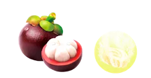 マンゴスチンの香りのイメージ画像。湯の色フレッシュイエロー（色つき透明）を表すイメージ画像