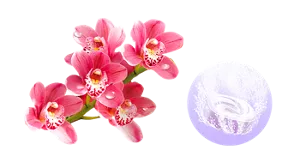 ピンクオーキッドの香りのイメージ画像。湯の色シャイニーバイオレット（色つき透明）を表すイメージ画像