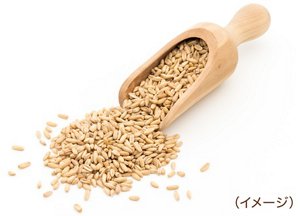 オーツ麦エキス（イメージ）