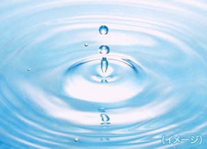 セラミドAP＋（イメージ）