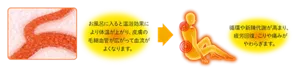 毛細血管のイメージ画像。お風呂に入ると温浴効果により体温が上がり、皮膚の毛細血管が広がって血流がよくなります。→お風呂で疲労回復している人物のイメージ画像。循環や新陳代謝が高まり、疲労回復、こりや痛みがやわらぎます。