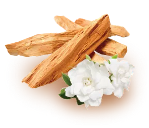 サンダルウッドのイメージ画像