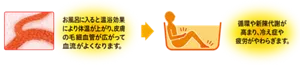 毛細血管のイメージ画像。お風呂に入ると温浴効果により体温が上がり、皮膚の毛細血管が広がって血流がよくなります。→お風呂で手足の冷えがやわらいだり、疲労回復している人物のイメージ画像。循環や新陳代謝が高まり、冷え症や疲労がやわらぎます。
