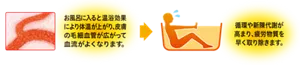 毛細血管のイメージ画像。お風呂に入ると温浴効果により体温が上がり、皮膚の毛細血管が広がって血流がよくなります。→お風呂で疲労回復している人物のイメージ画像。 循環や新陳代謝が高まり、疲労物質を早く取り除きます。
