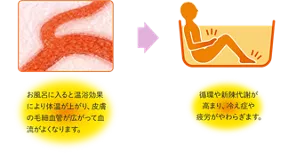 毛細血管のイメージ画像。お風呂に入ると温浴効果により体温が上がり、皮膚の毛細血管が広がって血流がよくなります。→お風呂で手足の冷えがやわらいだり、疲労回復している人物のイメージ画像。循環や新陳代謝が 高まり、冷え症や 疲労がやわらぎます。