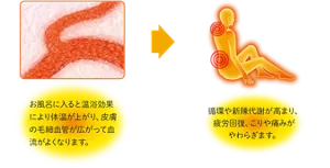 毛細血管のイメージ画像。お風呂に入ると温浴効果により体温が上がり、皮膚の毛細血管が広がって血流がよくなります。→お風呂で疲労回復している人物のイメージ画像。循環や新陳代謝が高まり、こりや痛みがやわらぎます。