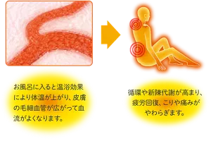 毛細血管のイメージ画像。お風呂に入ると温浴効果により体温が上がり、皮膚の毛細血管が広がって血流がよくなります。→お風呂で疲労回復している人物のイメージ画像。循環や新陳代謝が高まり、こりや痛みがやわらぎます。
