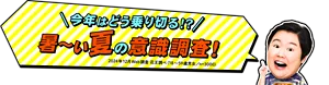 やす子が「今年はどう乗り切る！？暑～い夏の意識調査！2024年12月Web調査 花王調べ（18～59歳男女／n=3000）」と言っているイメージ画像