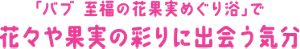 「バブ 至福の花果実めぐり浴」で花々や果実の彩りに出会う気分
