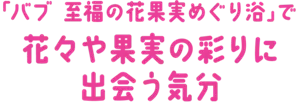 「バブ 至福の花果実めぐり浴」で花々や果実の彩りに出会う気分