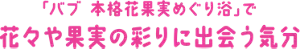 「バブ 本格花果実めぐり浴」で花々や果実の彩りに出会う気分
