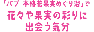 「バブ 本格花果実めぐり浴」で花々や果実の彩りに出会う気分