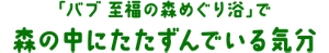 「バブ 至福の森めぐり浴」で森の中にたたずんでいる気分
