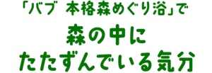 「バブ 本格森めぐり浴」で森の中にたたずんでいる気分