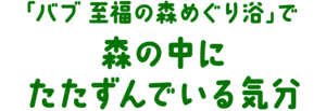 「バブ 至福の森めぐり浴」で森の中にたたずんでいる気分