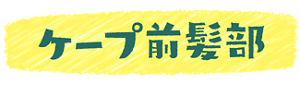 ケープ前髪部