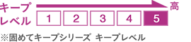 キープレベル5