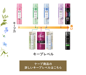 ケープ商品の詳しいキープレベルはこちら