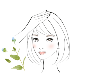 イメージイラスト