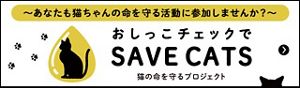 猫の尿路結石症（尿石症／ストルバイト・シュウ酸カルシウム）│猫の 