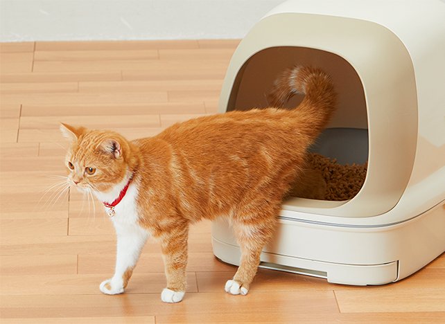 ウチの子チェック Flutd 腎不全 猫の泌尿器ケア研究会 はじめよう オシッコチェック 花王株式会社