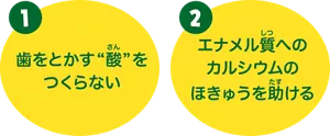 1. 歯をとかす“酸”をつくらない。／2. エナメル質へのカルシウムのほきゅうを助ける。