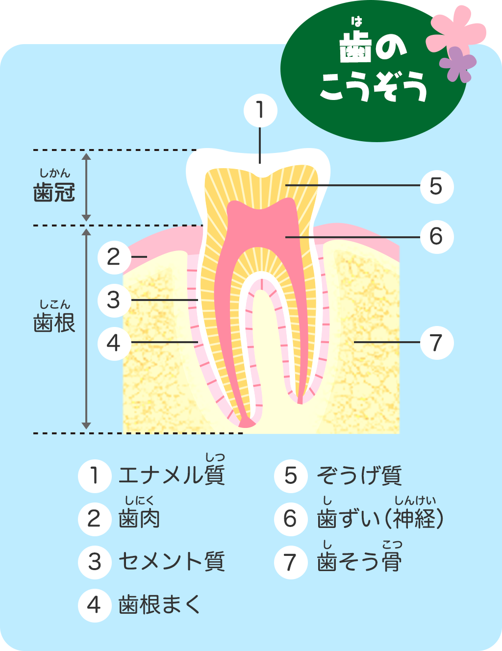 口の中のふしぎ 歯みがきたんけん隊 クリアクリーンキッズ 花王株式会社