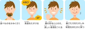 食べものをかみくだく／発音をたすける／顔の形をととのえ、美しい表情をつくる／歯ごたえをたのしみ味覚をゆたかに保つ
