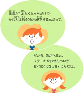 奥歯が1本なくなっただけで、かむ力は約40％も低下するんだって。／だから、歯がへると、ステーキやおせんべいが食べにくくなっちゃうんだね。