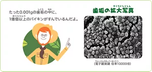 たった0.001gの歯垢の中に、1億個以上のバイキンがすんでいるんだよ。
