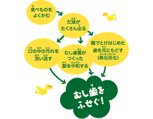 1 食べものをよくかむ。 2 だ液がたくさん出る。 3 口の中の汚れを洗い流す・むし歯菌がつくった酸を中和する・酸でとけはじめた歯を元にもどす（再石灰化）。 4 むし歯をふせぐ！