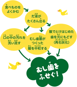 1 食べものをよくかむ。 2 だ液がたくさん出る。 3 口の中の汚れを洗い流す・むし歯菌がつくった酸を中和する・酸でとけはじめた歯を元にもどす（再石灰化）。 4 むし歯をふせぐ！