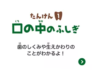 たんけん1. 口の中のふしぎはこちら。歯のしくみや生えかわりのことがわかるよ！