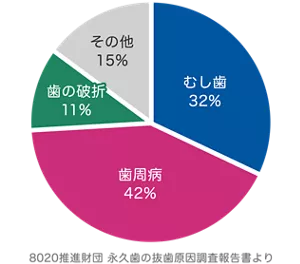 歯が抜ける主な原因のグラフ：もっとも多いのは歯周病42％、続いてむし歯32％、歯の破折11％、その他15％です。（8020推進財団 永久歯の抜歯原因調査報告書より）