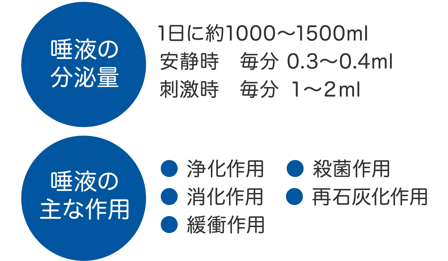 唾液  唾液の働き | 歯の健康 基本のき | オーラルケア情報 | クリアクリーン | 花王株式会社