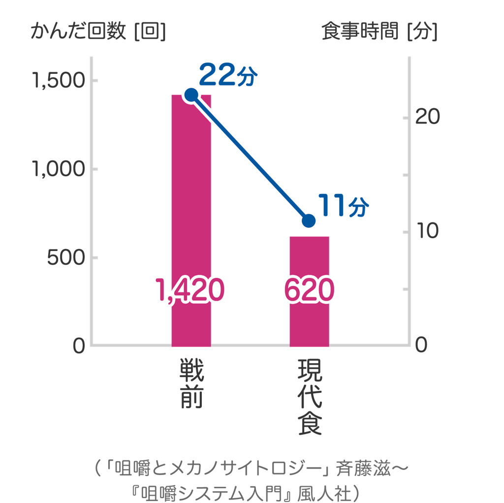 かむことの大切さ 歯の健康 基本のき オーラルケア情報 クリアクリーン 花王株式会社 かむことの大切さ 歯の健康 基本のき オーラルケア情報 クリアクリーン 花王株式会社
