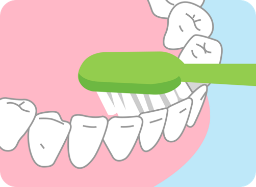 正しい歯のみがき方 歯の健康 基本のき オーラルケア情報 クリア