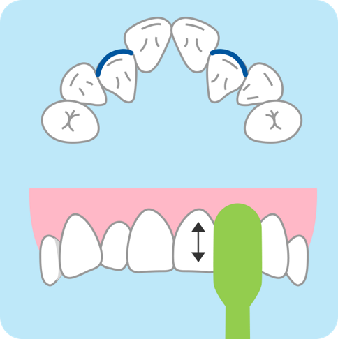 正しい歯のみがき方 歯の健康 基本のき オーラルケア情報 クリアクリーン 花王株式会社