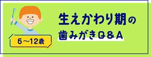生えかわり期の歯みがきQ&A (6〜12歳)