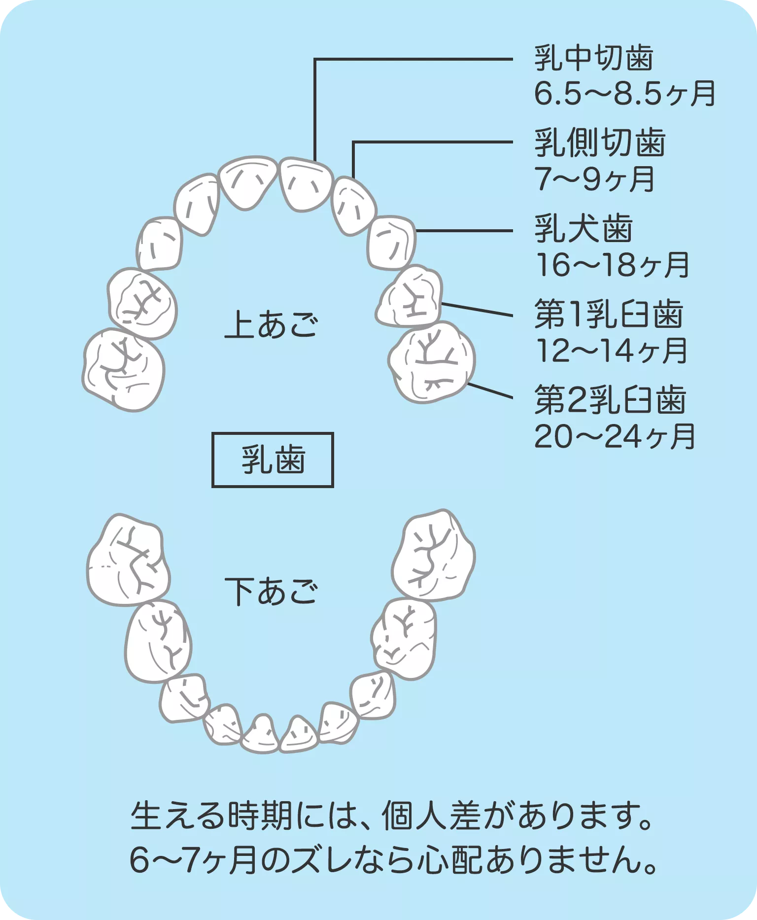 赤ちゃん 歯 順番