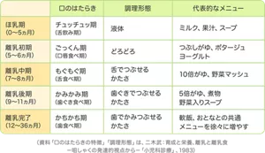 0～5ヶ月は、舌飲み期です。液体状のミルクや、果汁、スープなどがおすすめです。／離乳初期の5～6ヶ月は、ごっくん期。どろどろとした、つぶしがゆや、ポタージュ、ヨーグルトなどがおすすめです。／離乳中期の7～8ヶ月は、もぐもぐ期。舌でつぶせるかたさの、10倍がゆや、野菜のマッシュを。／離乳後期の9～11か月は、かみかみ期。歯ぐきでつぶせるかたさの、5倍がゆや、煮物、野菜入りスープを。／離乳完了の1～3歳は、かちかち期。歯でかみつぶせるかたさの、軟飯や、おとなとの共通メニューを徐々に増やすのがよいでしょう。（資料「口のはたらきの特徴」「調理形態」は、二木武：育成と栄養、離乳と離乳食−咀しゃくの発達的視点から−「小児科診療」、1983）