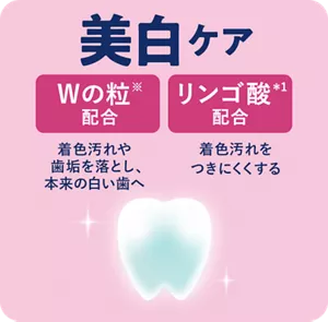 美白ケア。Wの粒(※)配合：着色汚れや歯垢を落とし、本来の白い歯へ。リンゴ酸(＊1) 配合：着色汚れをつきにくくする